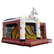 inflatable adult slide